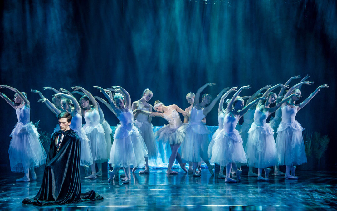 swanlakeaab_02
